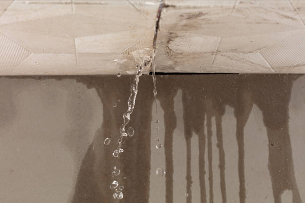 Professional Water Damage Repair technician working in Kent City, MI